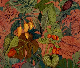 Valokuvatapetti Cocoa