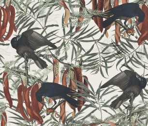 Valokuvatapetti Crows