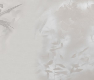 Wall Mural Tenera e l’alba GLXIV501B