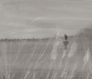 Wall Mural Al di la del fiume GLXIV221A