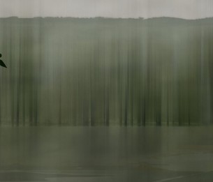 Wall Mural Amazzonia GLXIV231B