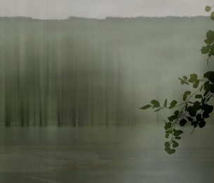 Wall Mural Amazzonia GLXIV231A