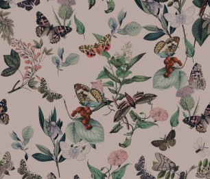 Valokuvatapetti Butterfly Rowan Pink