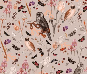 Valokuvatapetti Pink Owls