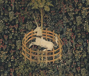 Valokuvatapetti Unicorn