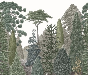 Fototapeet Pinede MEDI 87457206 (S)