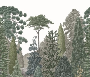 Fototapeet Pinede MEDI 87457202 (L)