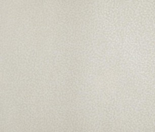 Tapetti Punto 65588