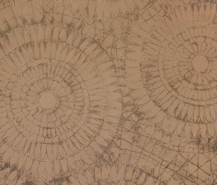 Tapetti Notre Dame 65572