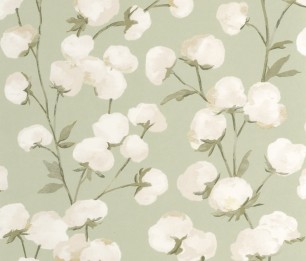 Wallpaper Cotton Flower SOLI 200297202