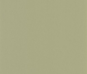 Wallpaper Pigments SOLI 200337337