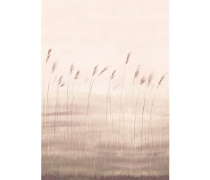 Фотообои Jonc Des Dunes WDWD 200081504 (L)