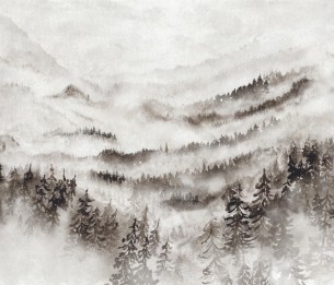 Фотообои Morning Mist WDWD 200189111 (M)