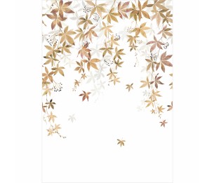 Фотообои Vigne En Fleur WDWD 200062304 (L)