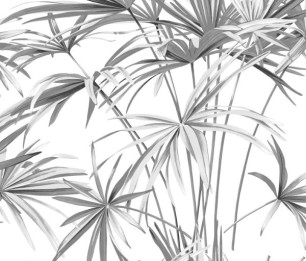 Wallpaper Silva 5369-1