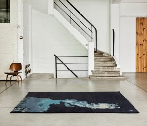 Rug Behind Blue