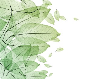 Mural Foliage R12201