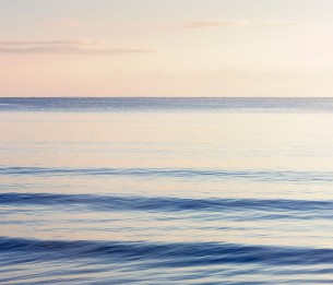 Mural Graceful Sea R13311