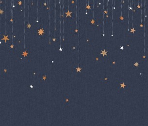 Mural Stargazing R14571