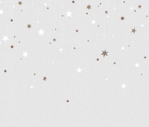 Mural Stargazing R14572