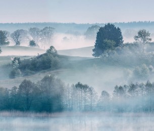 Mural Morning Haze R15291