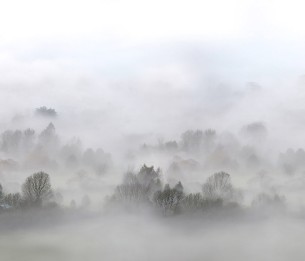 Mural Morning Fog R15301