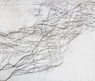 Mural Breathe R17051