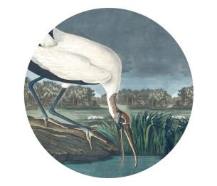 Isekleepuv tapeet Dots Stork