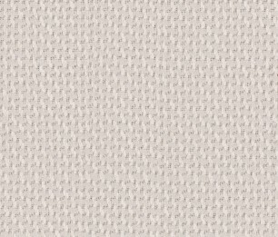 Textile Braid 3006