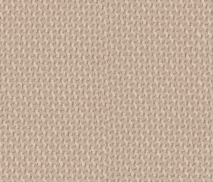 Textile Braid 3008