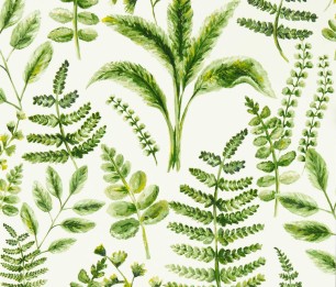 Обои Bracken W0156/02