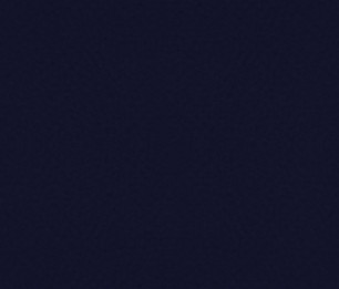 Textile Dragon 208.09