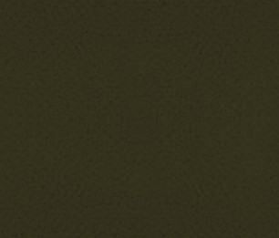 Textile Dragon 208.12