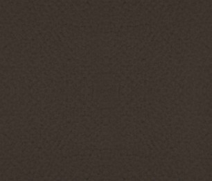 Textile Dragon 208.13