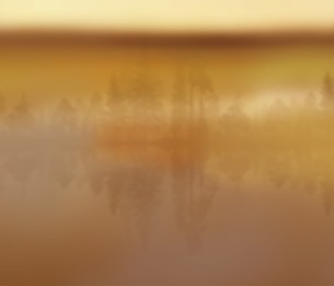 Фотообои Image LWI1001C