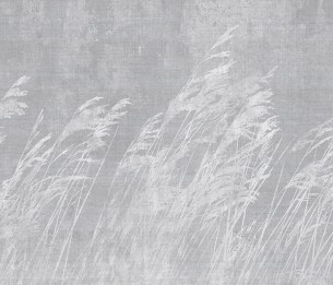 Фотообои Paddy LWI1002B