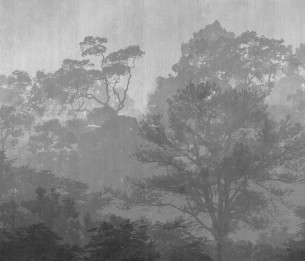 Фотообои Fall LWI1011C