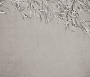 Фотообои Willow LWI1014A1