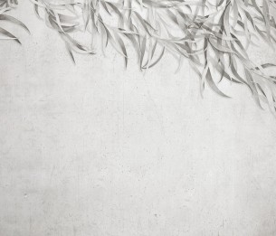 Фотообои Willow LWI1014B1