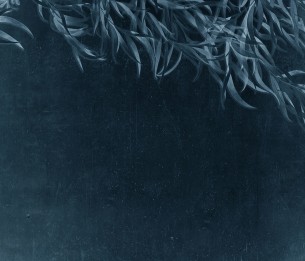 Фотообои Willow LWI1014C1