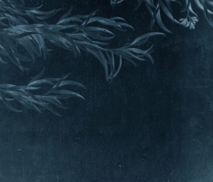 Фотообои Willow LWI1014C2