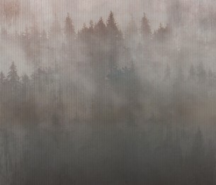 Фотообои Foggy LWI1017B