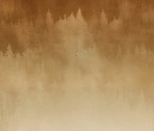 Фотообои Foggy LWI1017C