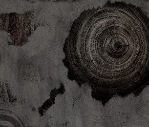 Фотообои Woods LWI1036C