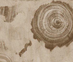 Фотообои Woods LWI1036D