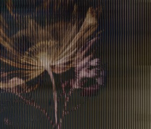 Фотообои Hope LWI1043B