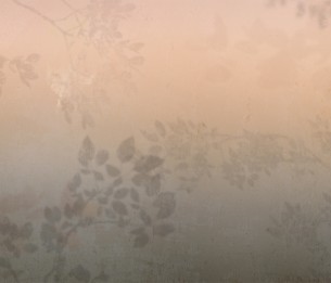 Фотообои Matinal LWI1048A