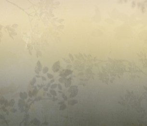 Фотообои Matinal LWI1048B