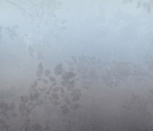 Фотообои Matinal LWI1048C