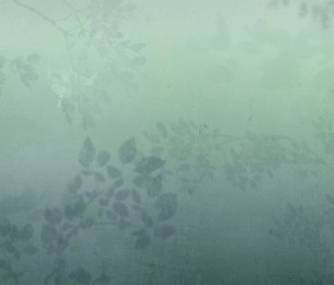 Фотообои Matinal LWI1048D